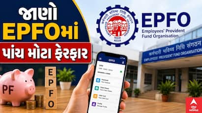 EPFOએ આ વર્ષે ઘણા મોટા ફેરફારો લાગુ કર્યા છે અને આ અપડેટ્સ પગારદાર EPF સભ્યો માટે તેમની થાપણો ઍક્સેસ કરવા, તેમના ખાતાઓ ટ્રાન્સફર કરવા અને કાગળકામ વિના તેમના PF ભંડોળ ઉપાડવાનું સરળ બનાવી રહ્યા છે.