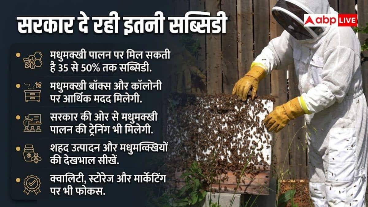 मधुमक्खी पालन के लिए सरकार दे रही मदद, ऐसे करें आवेदन