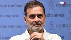 Rahul Gandhi Moves Supreme Court Against Allahabad HC Order Over Disproportionate Assets Case