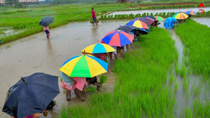 ফলে ওই সেতু দিয়ে সম্প্রতি যাতায়াত পুরোপুরি বন্ধ ছিল। সমস্যায় পড়েছিলেন বেশ কয়েকটি গ্রামের মানুষ।