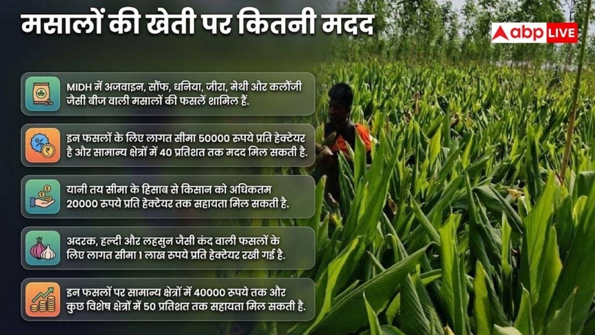 मसालों की खेती के लिए सरकार देगी मदद, जानें कैसे?