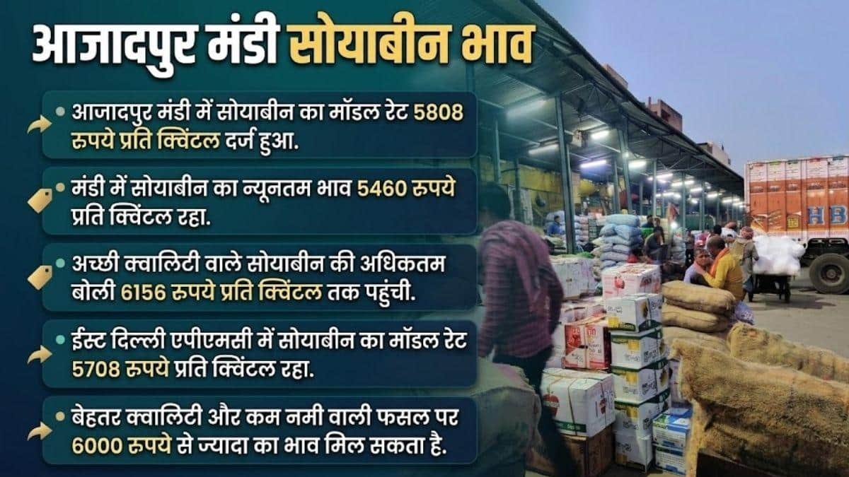 दिल्ली की मंडी में आज क्या रहेगा सोयाबीन का भाव? जान लें ताजा अपडेट