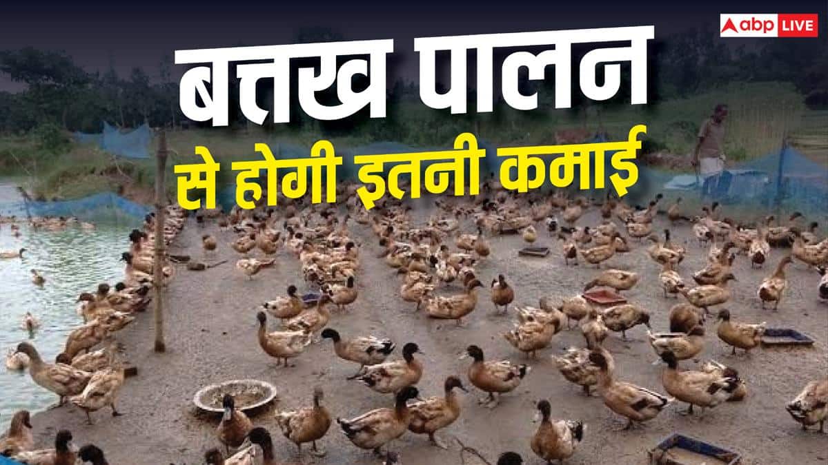 गांव में शुरू करें बत्तख पालन, होगी अच्छी कमाई