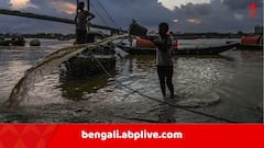 উপকূলীয় পশ্চিমবঙ্গের উপর গভীর নিম্নচাপ, আশঙ্কা বাড়িয়ে ভারী থেকে অতি ভারী বৃষ্টিপাতের পূর্বাভাস রাজ্যের এই জেলাগুলিতে