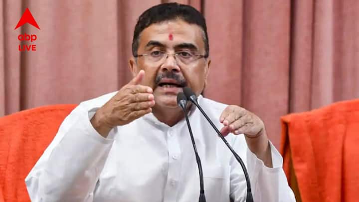 মুখ্যমন্ত্রী আরও জানান, '' ১৭ তারিখ টাকা ট্রান্সফার হয়ে যাওয়ার পর, ২১ ও ২২ তারিখ পোর্টালটি চালু হয়ে যাবে। যেখানে যোগ্য হওয়ার পরও যারা টাকা পাননি তারা অভিযোগ করতে পারবেন। পাশাপাশি যারা অযোগ্য অথচ টাকা পাচ্ছেন, তাদের বিরুদ্ধেও এই পোর্টালে অভিযোগ করতে পারেন যে কেউ।''