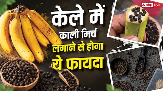 केले में लगाएं काली मिर्च और कर दें दफन, फिर देखिए जादू केले में लगाएं काली मिर्च और कर दें दफन, फिर देखिए जादू