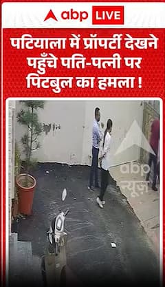 Pitbull attacks couple who went to view property in Patiala!
