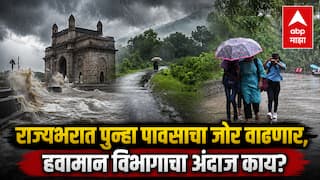 Maharashtra Rain: मुंबईसह पश्चिम उपनगरात पुन्हा पावसाच्या सरी; तर विदर्भात गेल्या बारा दिवसांपासून पावसाचा खंड; राज्यात पावसाचा जोर कधी वाढणार?