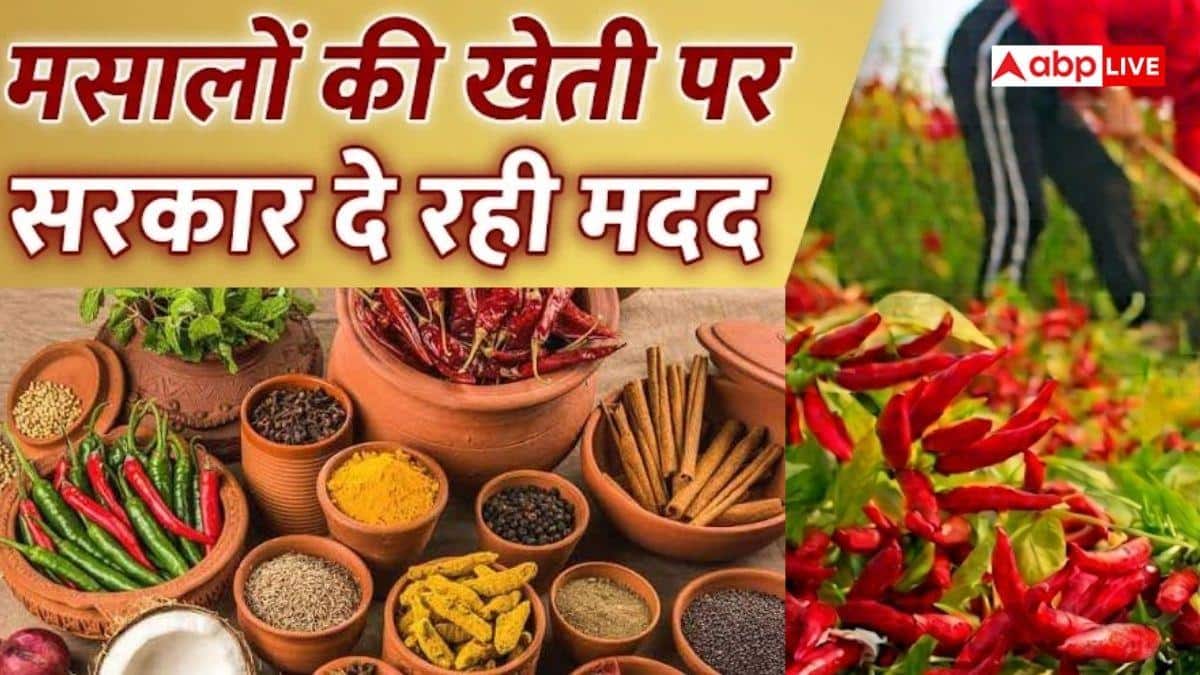 मसालों की खेती के लिए सरकार देगी मदद, जानें कैसे?