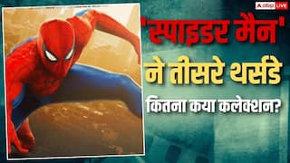Spider Man BO Day 15: तीसरे थर्सडे स्पाइडर मैन की घटी कमाई, लेकिन 8 करोड़ और कमाते ही रच देगी इतिहास