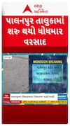 Palanpur Rain : પાલનપુર તાલુકામાં શરૂ થયો ધોધમાર વરસાદ