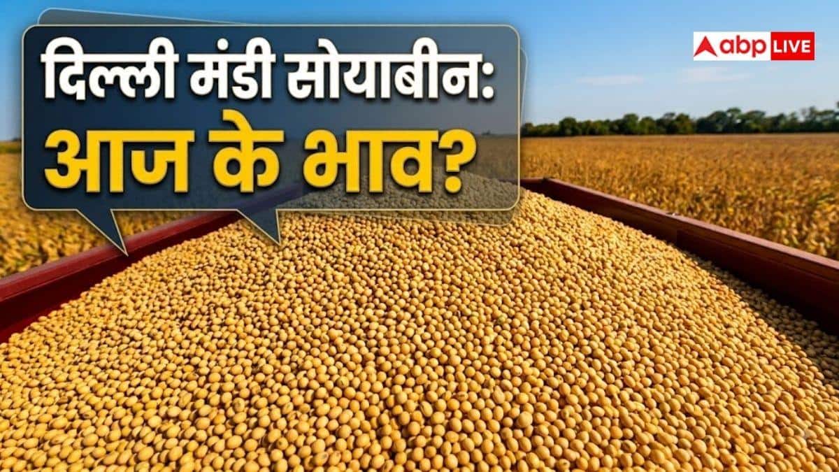 दिल्ली की मंडी में आज क्या रहेगा सोयाबीन का भाव? जान लें ताजा अपडेट