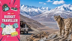 Budget Traveller | Ladakh Wildlife Safari: India’s First High-Altitude Safari Under Rs 85,000