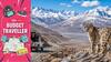 Budget Traveller | Ladakh Wildlife Safari: India’s First High-Altitude Safari Under Rs 85,000