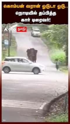 கொம்பன் வரான் ஓடுடா ஓடு.. நொடியில் தப்பித்த கார் டிரைவர்!