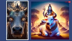 भगवान शिव के सामने हाथ जोड़ते समय क्यों नहीं खड़े होते बिल्कुल बीच में? जानें मंदिर से जुड़ी पुरानी परंपरा