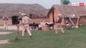स्वतंत्रता दिवस पर ड्रोन हमले की आशंका, भारत-पाक सीमा पर चला सुरक्षाबलों का सर्च ऑपरेशन