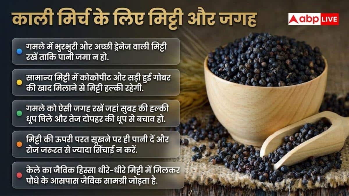 केले में लगाएं काली मिर्च और कर दें दफन, फिर देखिए जादू