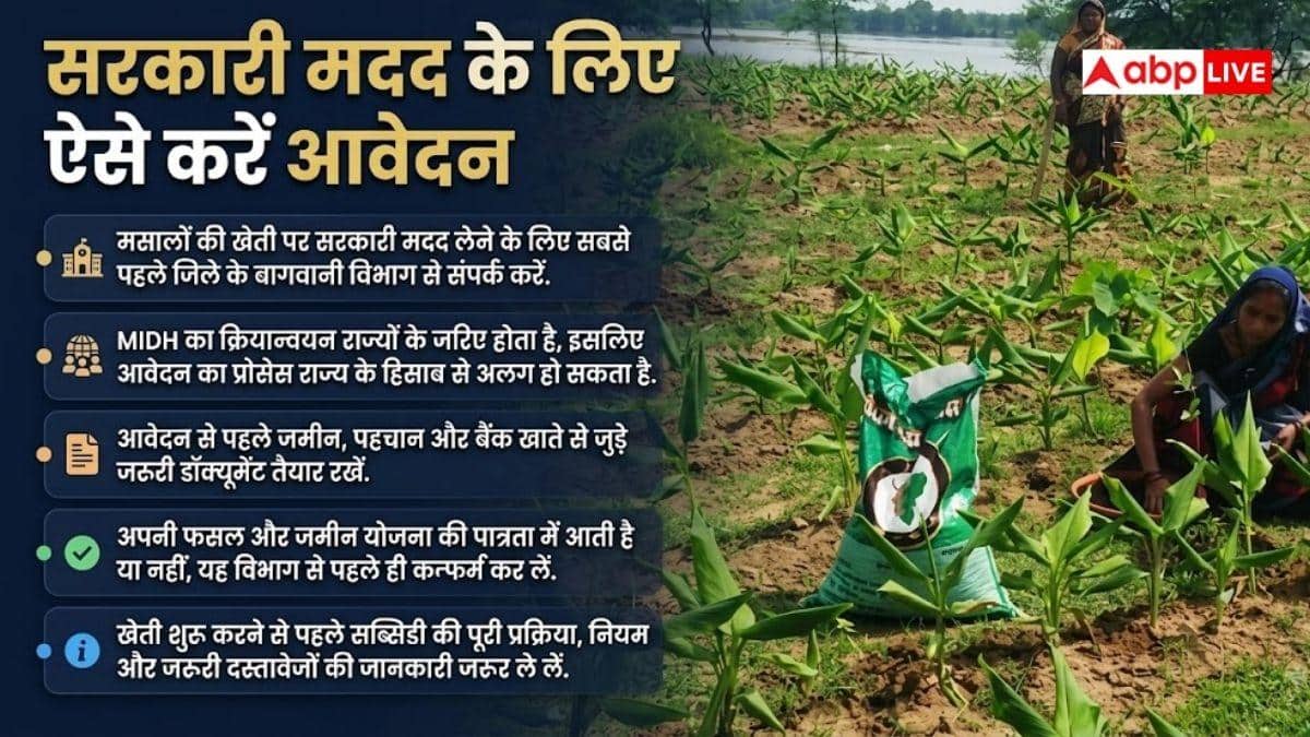 मसालों की खेती के लिए सरकार देगी मदद, जानें कैसे?