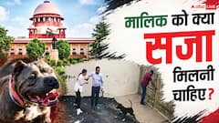 पिटबुल अटैक में मालिक को मिले कितनी सजा, कुत्तों से कब मिलेगी निजात?