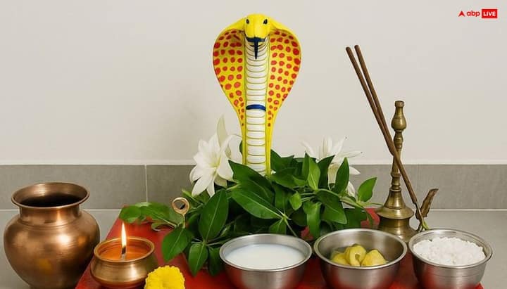 नाग पंचमी की पूजा के लिए नाग देवता की प्रतिमा या फिर चंदन से नाग देवता दीवार पर बनाएं, जल, दूध, गंगाजल, अक्षत, रोली या कुमकुम, हल्दी, चंदन, पुष्प, दूर्वा, बेलपत्र, धूप, दीप, नैवेद्य और फल शामिल करें.