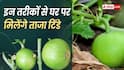 घर में उगाएं देसी टिंडे, बाजार जाने की जरूरत नहीं