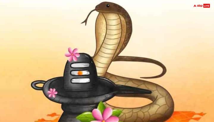 नाग पंचमी पर सावन सोमवार का संयोग भी बन रहा है. नाग देवता की पूजा के लिए सुबह 5.51 से सुबह 8.29 तक शुभ मुहूर्त है. इस दौरान घर के मुख्य द्वार की दीवार पर नाग देवता की आकृति बनाकर पूजा करें. शिव जी के गले में विराजमान सर्प की पूजा भी कर सकते हैं.