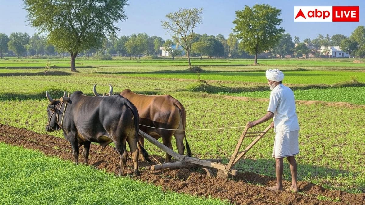 Solar Fencing: खेत में Solar Fencing क्यों जरूरी, इससे क्या होता है फायदा?