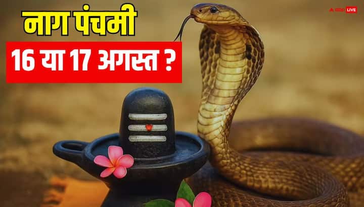 नाग पंचमी के दिन तवा और लोहे की कड़ाही में खाना बनाने से बचना चाहिए. जमीन खोदना शुभ नहीं माना जाता, जीवित सांप को नुकसान न पहुंचाएं, सुई, कैंची जैसी धारदार वस्तुओं का इस्तेमाल न करें.