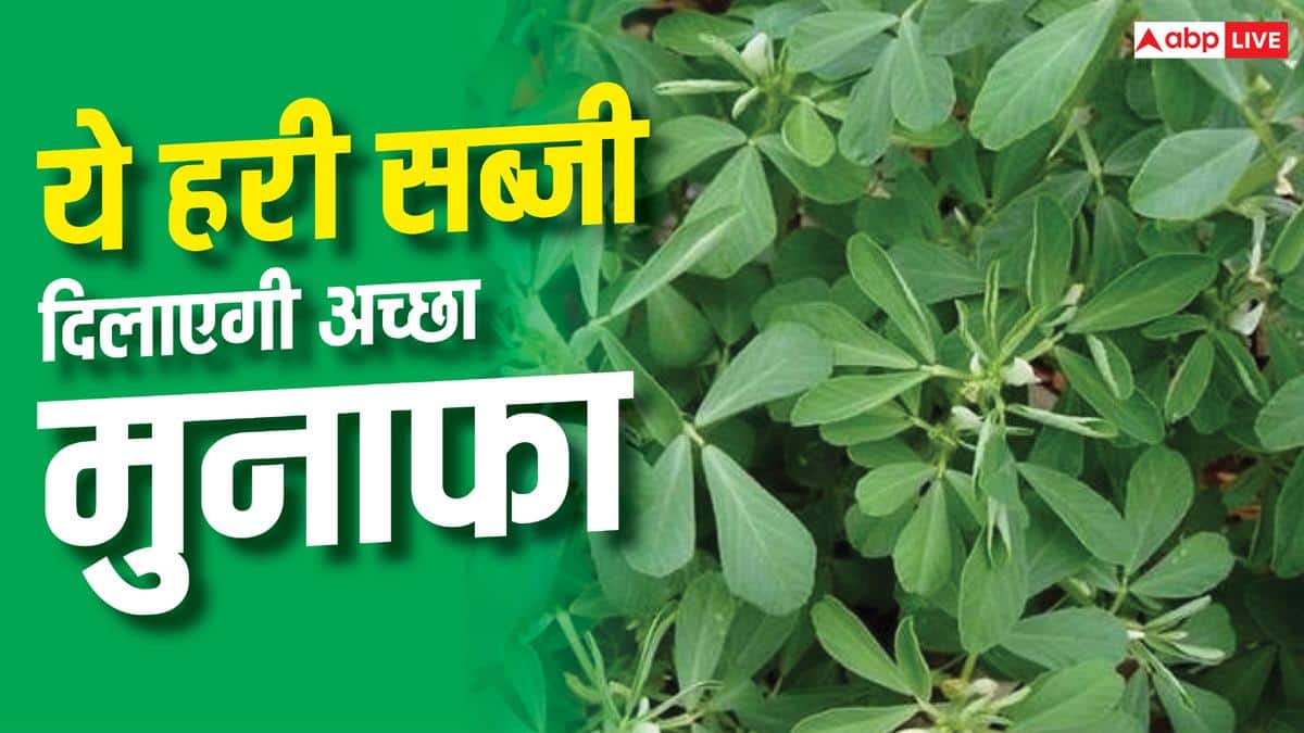 इस हरी सब्जी से किसानों को होगा मोटा मुनाफा
