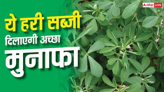 इस हरी सब्जी से किसानों को होगा मोटा मुनाफा इस हरी सब्जी से किसानों को होगा मोटा मुनाफा