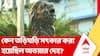 RG Kar Case: তাড়াহুড়ো করে পানিহাটি শ্মশানে দাহ করা হয়েছিল অভয়াকে? কারা আছে এই ষড়যন্ত্রের পিছনে?