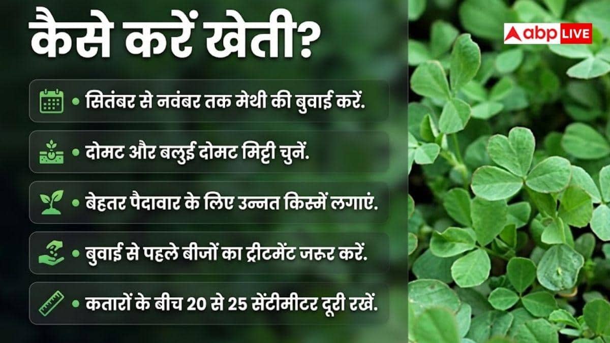 इस हरी सब्जी से किसानों को होगा मोटा मुनाफा