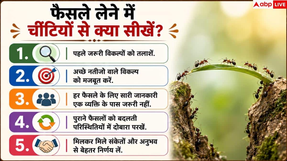 How Ants Choose The Best Path: फैसले लेने में बेस्ट क्यों मानी जाती हैं चींटियां, इनसे क्या सीखना जरूरी?