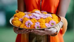Flowers for Worship: पूजा में इस्तेमाल होते हैं ये फूल, खेती को बना सकते हैं बिजनेस मॉडल