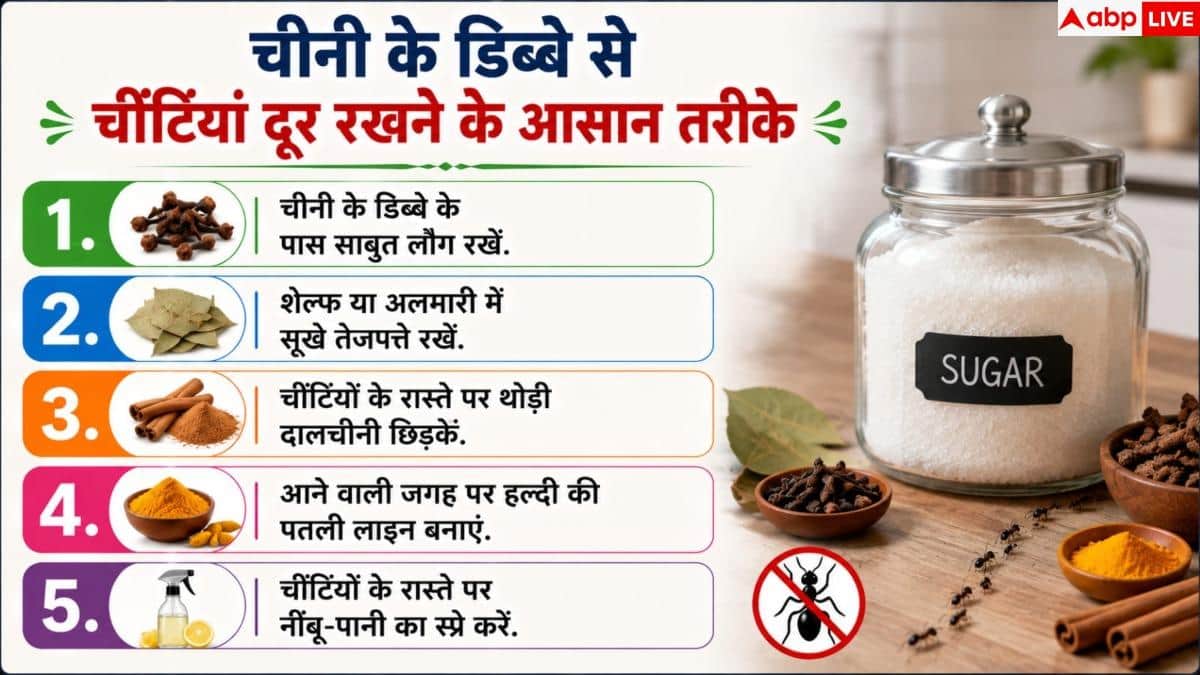 How To Get Rid Of Ants In Kitchen: चीनी के डिब्बे में घुस जाती हैं चींटियां? इस आसान हैक से भगाएं