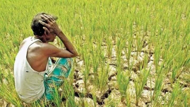 अगर बीमा कंपनी ने सर्वे किया है लेकिन भुगतान नहीं आया. तो क्लेम का स्टेटस पूछें. कंपनी से क्लेम नंबर, सर्वे रिपोर्ट और भुगतान में देरी की वजह जानना जरूरी है. बातचीत के दौरान आपको जो जानकारी मिली है उसको संभालकर रखना जरूरी है. जरूरत पड़ने पर यही जानकारी आपको आगे शिकायत करते वक्त काम आ सकती है.
