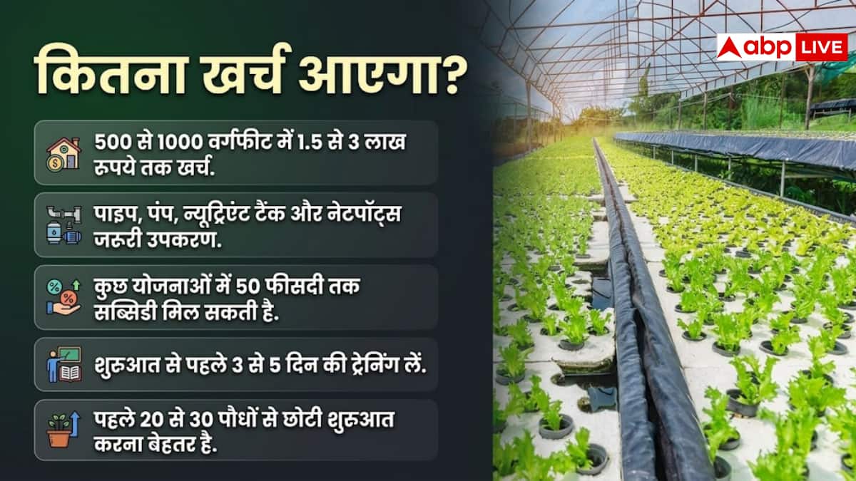 बिना मिट्टी खेती करके कमाएं, जानें पूरा तरीका