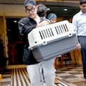 Aamir khan Kiran Rao: आमिर खानच्या परिवारावर कोसळला दु:खाचा डोंगर; किरणसह मिस्टर परफेक्शनिस्टचेही डोळे पाणावले