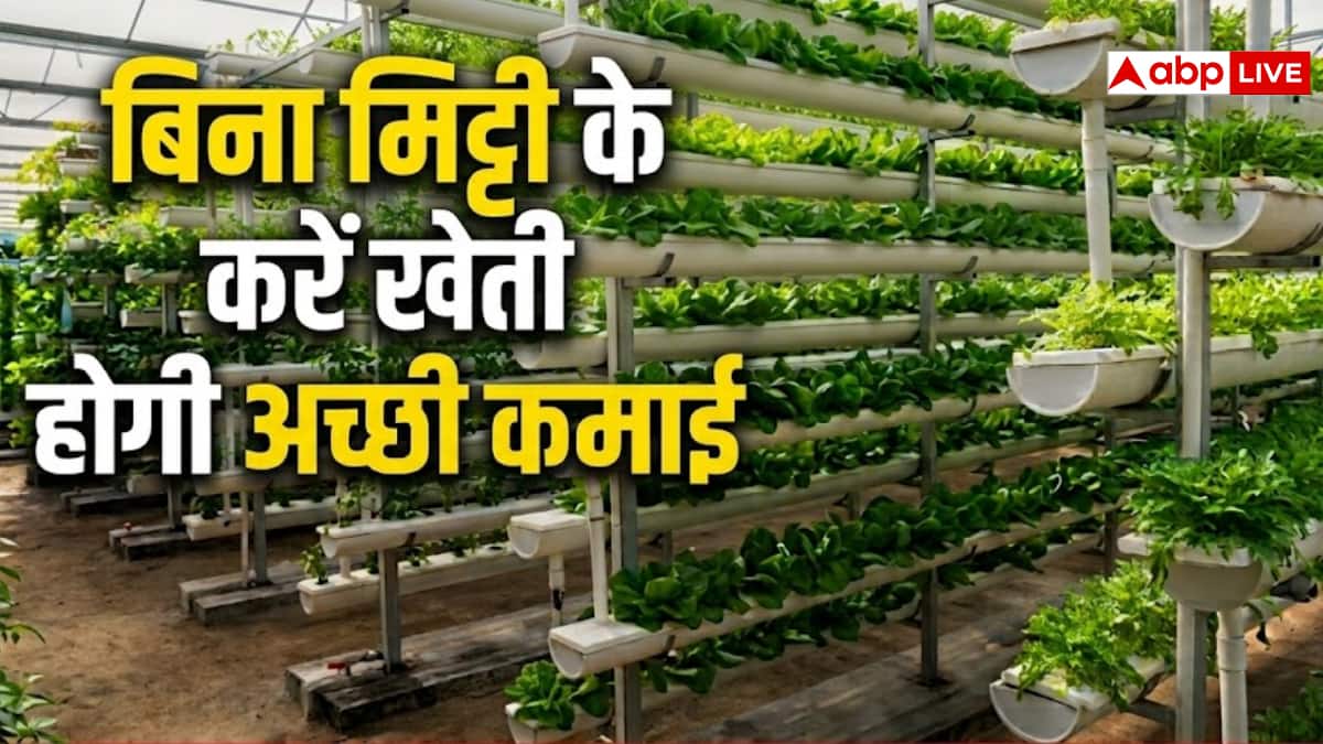 बिना मिट्टी खेती करके कमाएं, जानें पूरा तरीका