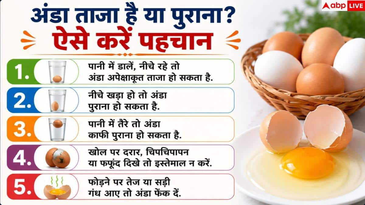 How To Check Egg Quality: अंडा ताजा है या सड़ चुका है? तुरंत जानें खराब है या नहीं