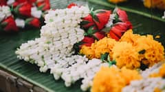 Flowers for Worship: पूजा में इस्तेमाल होते हैं ये फूल, खेती को बना सकते हैं बिजनेस मॉडल