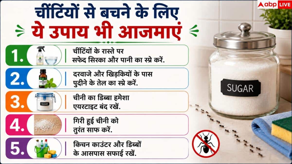 How To Get Rid Of Ants In Kitchen: चीनी के डिब्बे में घुस जाती हैं चींटियां? इस आसान हैक से भगाएं
