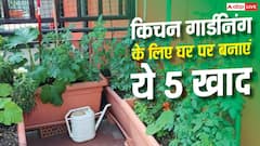 घर पर तैयार करें 5 तरह की खाद, किचन गार्डनिंग के है बेस्ट