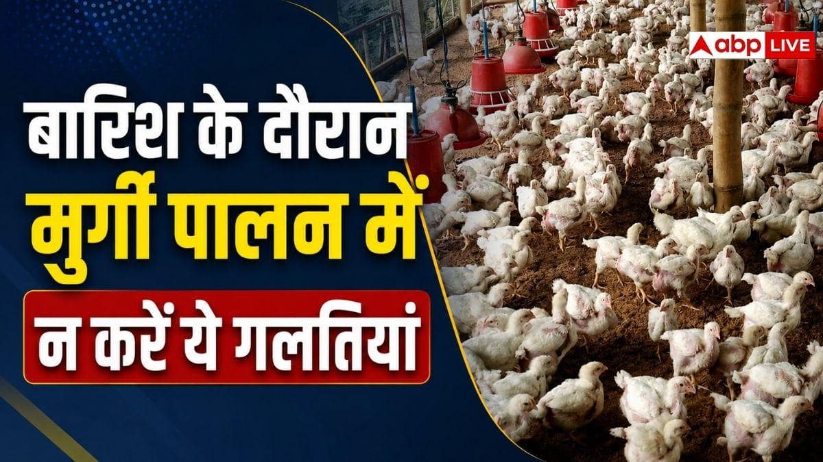 मानसून में मुर्गी पालन से होगी अच्छी कमाई, इन गलतियों से बचें