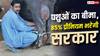 Livestock Insurance Scheme: पशुओं का भी बीमा कराएगी सरकार, 85% प्रीमियम भी भरेगी