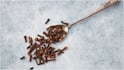 Clove Benefits : లవంగం రోజుకు ఒకటి తింటే ఆరోగ్యానికి కలిగే లాభాలు ఏంటో తెలుసా?