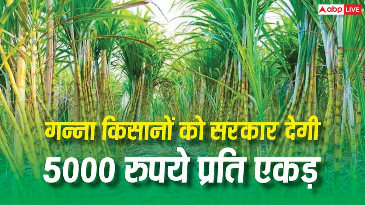 गन्ना किसानों की बल्ले-बल्ले, सरकार देगी 5000 रुपये प्रति एकड़ सब्सिडी