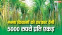 गन्ना किसानों की बल्ले-बल्ले, सरकार देगी 5000 रुपये प्रति एकड़ सब्सिडी
