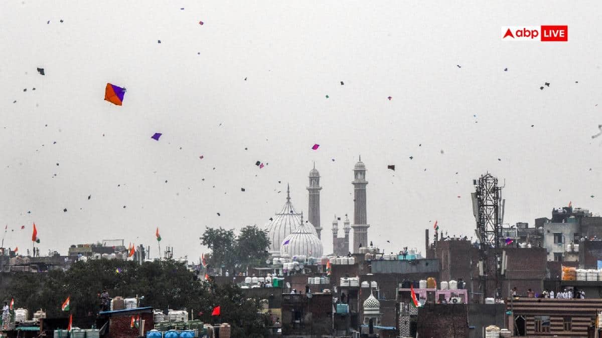 दिल्ली में 15 अगस्त पर पतंगबाजी का कहर, 800 से ज्यादा पक्षी घायल